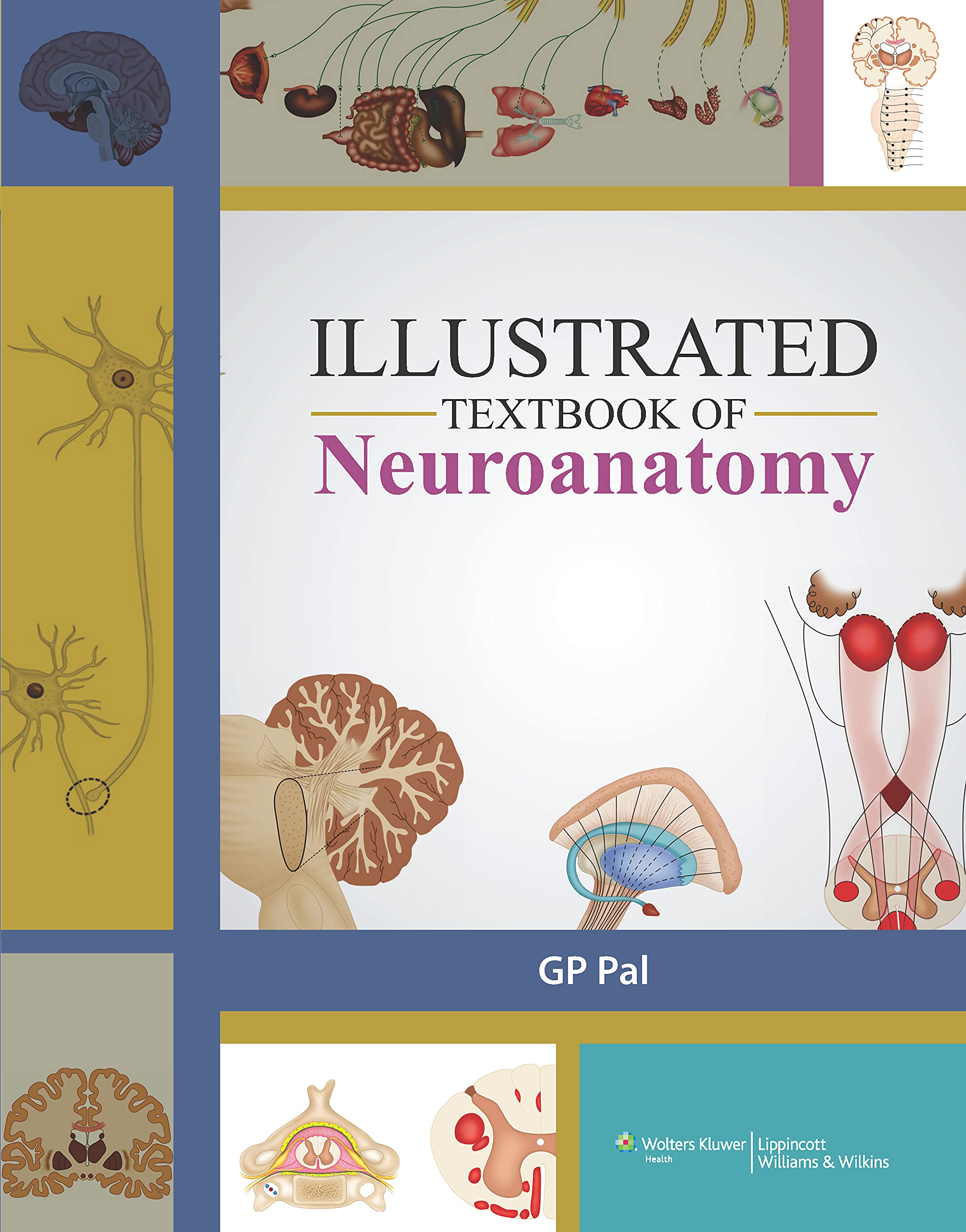 neuroanatomy an illustrated colour text 4th edition pdf download