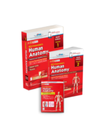 Combo Set of BD Chaurasia's Human Anatomy 9/e (Vol 1 + Vol 2 + Companion Booklet ) Special Physiotherapy Edition