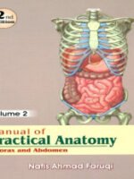 Manual of Practical Anatomy: Thorax & Abdomen, 2e Vol. 2