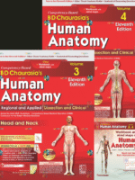 Competency–Based BD Chaurasia’s Human Anatomy: Regional and Applied; Dissection and Clinical (Vol. 3 & 4): Free Workbooks with Mind Maps